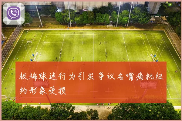 极端球迷行为引发争议名嘴痛批纽约形象受损